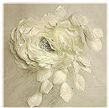 白バラ・大輪と葉のコサージュ